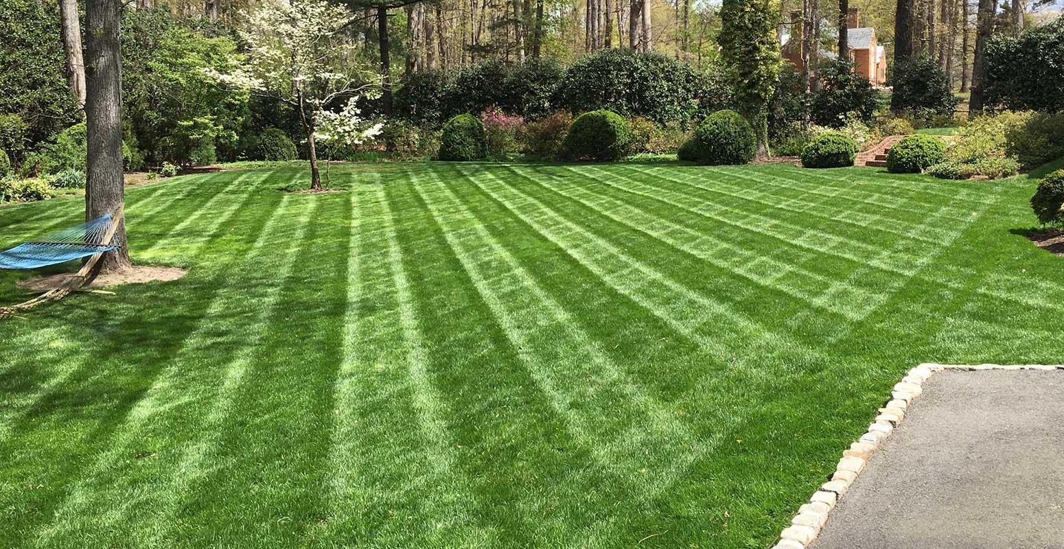 Landscape yard in Richmond VA