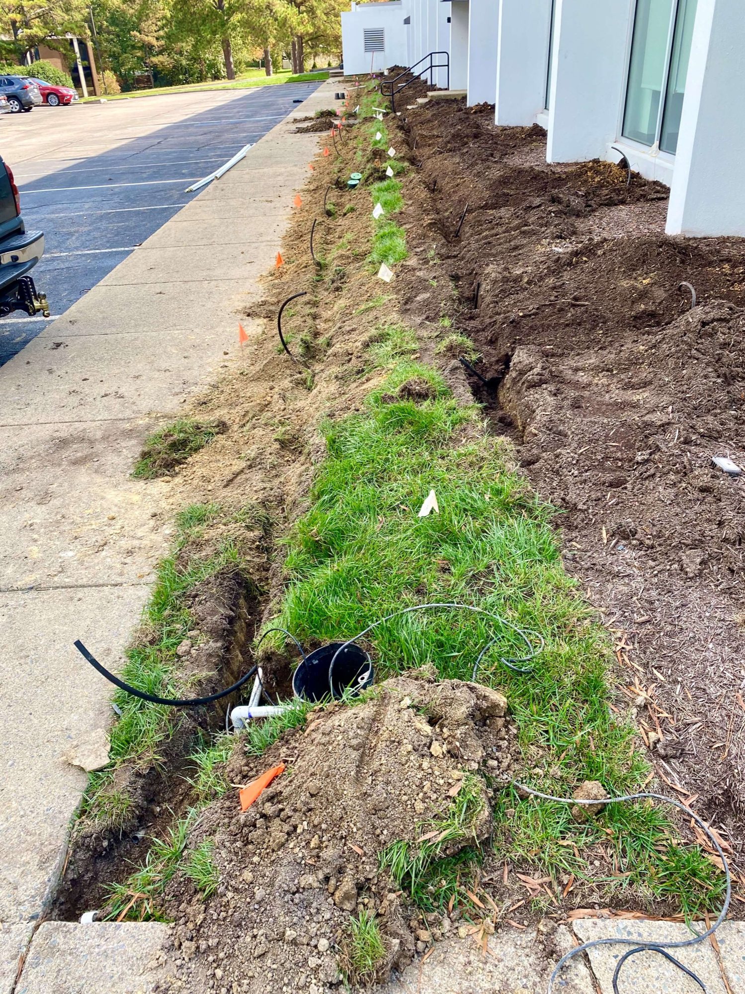 Buried irrigation pipes