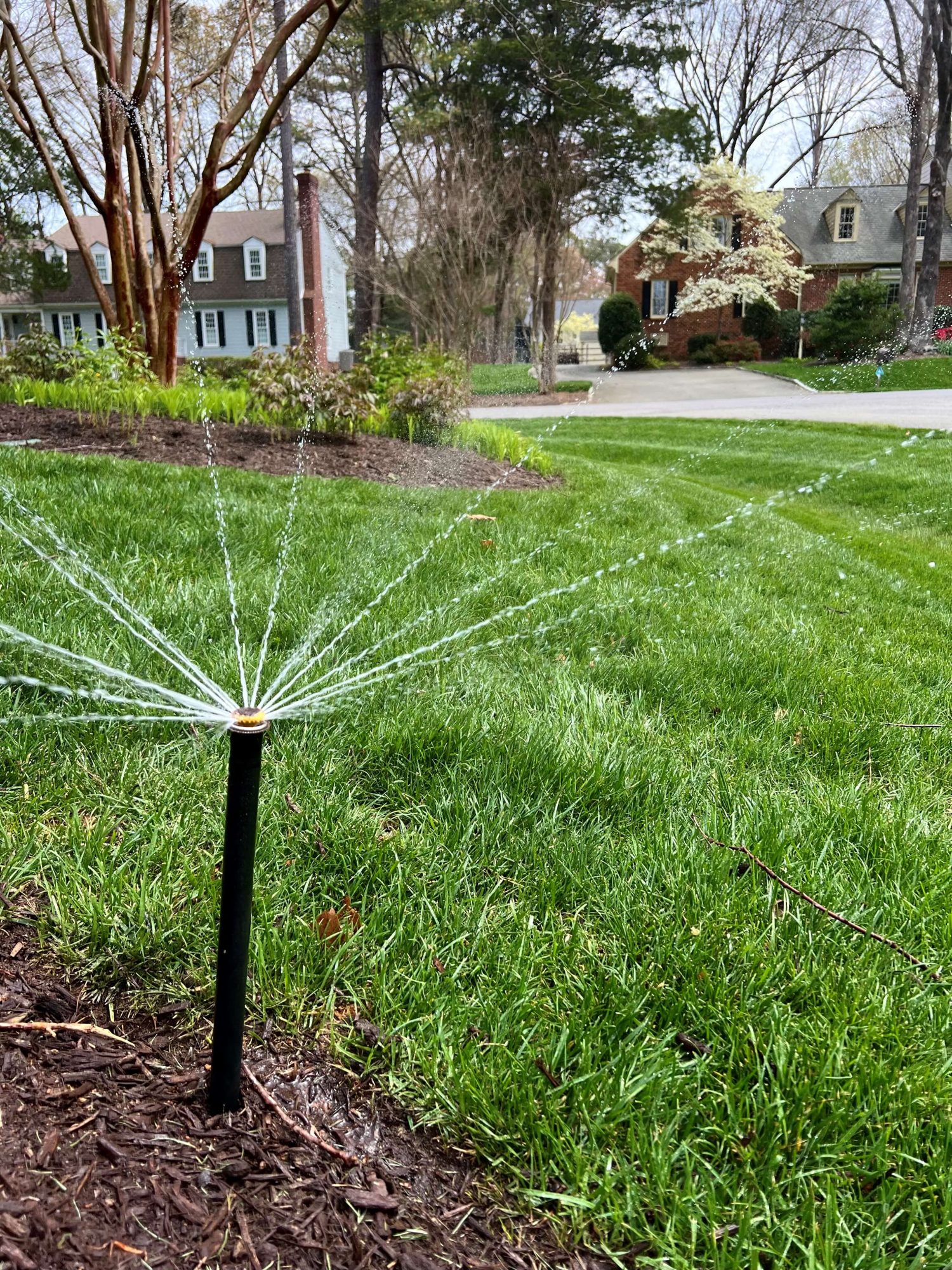Irrigation head spraying water