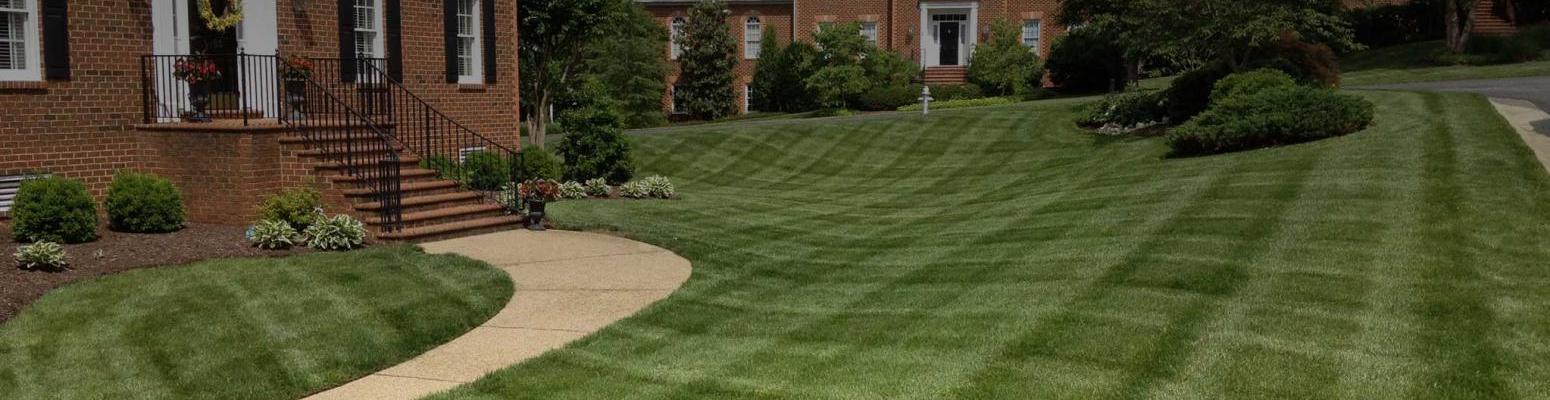 Freshly mowed lawn