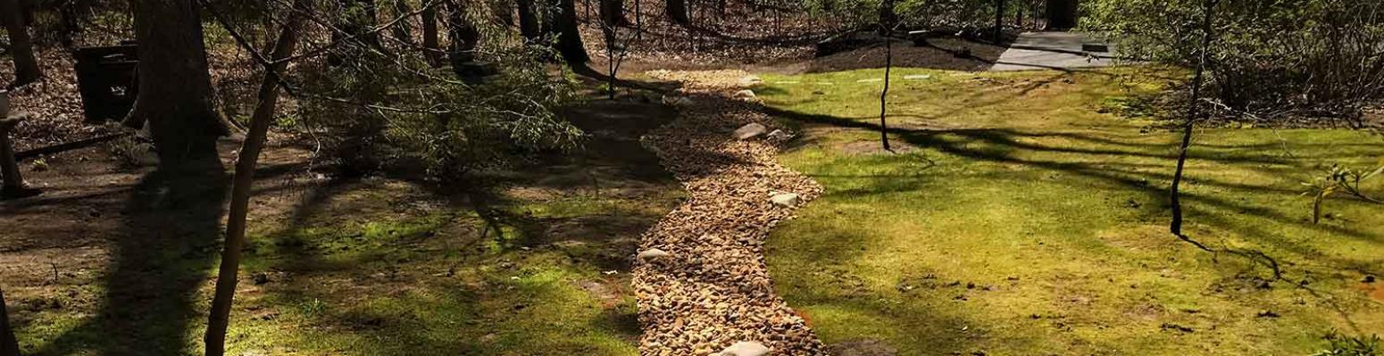 Drainage work in a residential yard