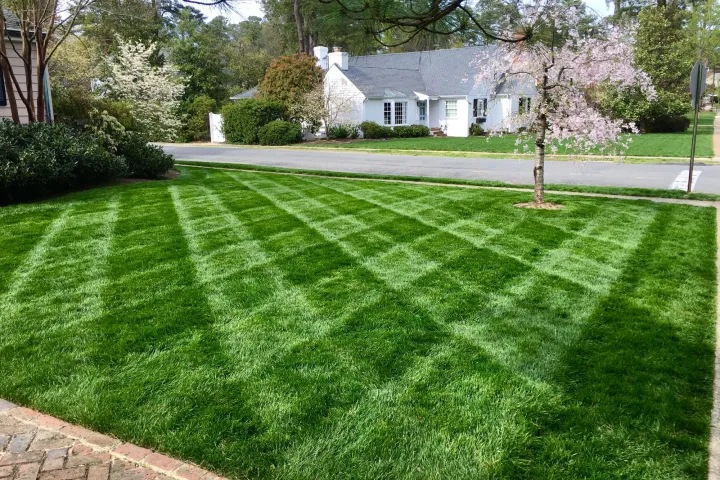 Freshly cut, striped yard