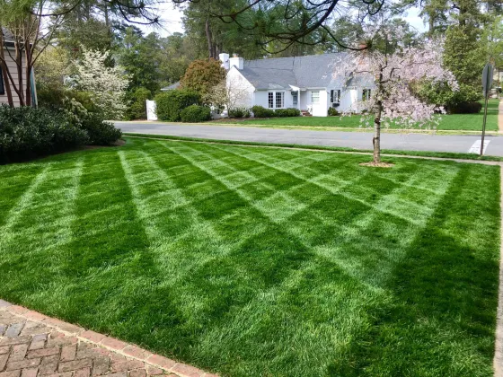 Freshly cut, striped yard
