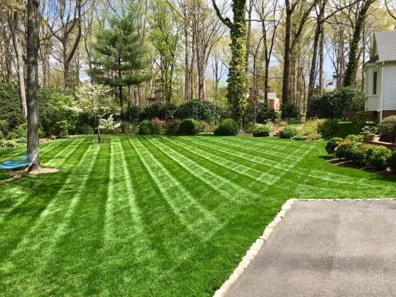 Back yard with fresh cut grass