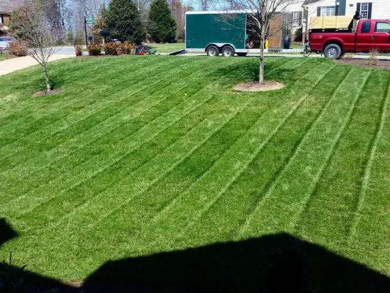 Our truck and trailer parked along a cut yard