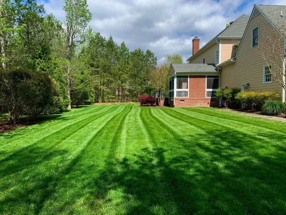 Freshly cut, plush turf yard