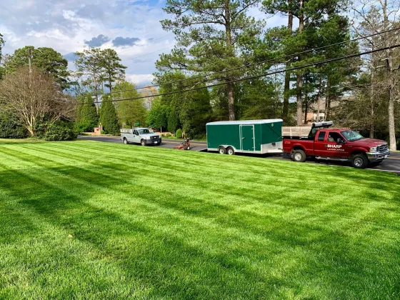 Our trucks and trailer along a cut yard
