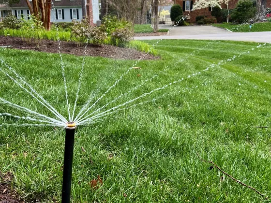 Irrigation head spraying water