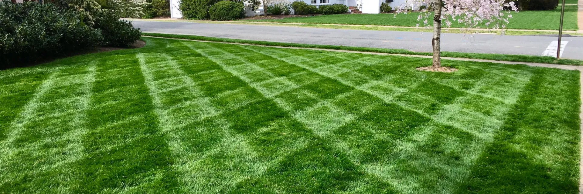 Freshly cut, striped yard